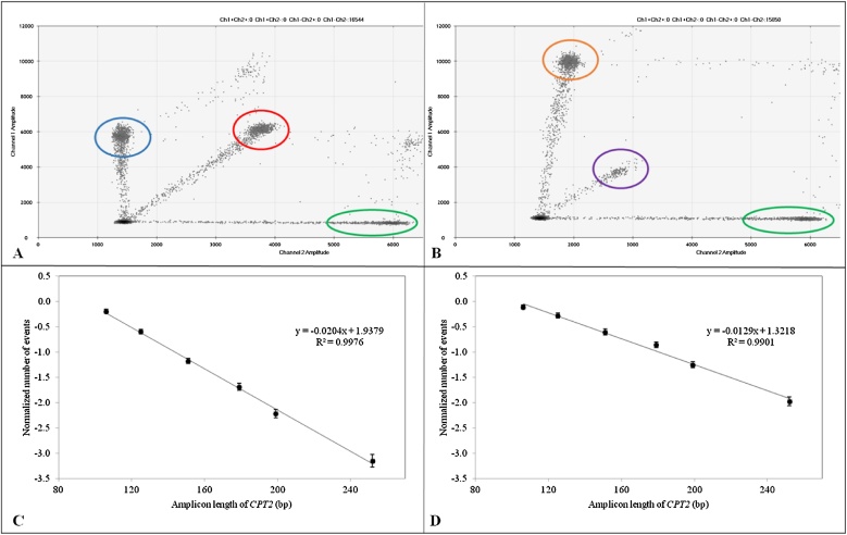 Using ddPCR to assess the DNA yield of FFPE samples