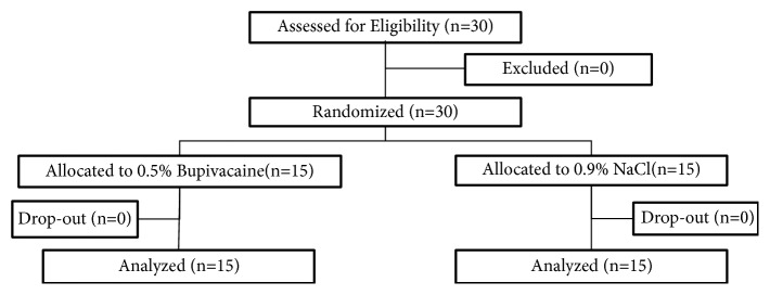 Effectiveness of Subconjunctival 0.5% Bupivacaine for Postoperative Analgesia after Intravitreal Silicon Oil Removal Surgery.