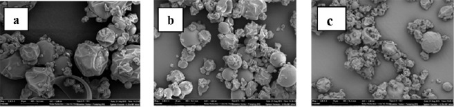 Production of Bone Broth Powder with Spray Drying Using Three Different Carrier Agents.