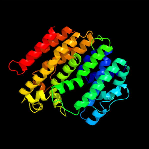 Squalene synthase cloning and functional identification in wintersweet plant (Chimonanthus zhejiangensis).