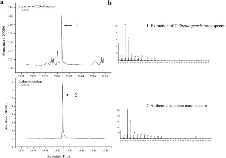 Squalene synthase cloning and functional identification in wintersweet plant (Chimonanthus zhejiangensis).