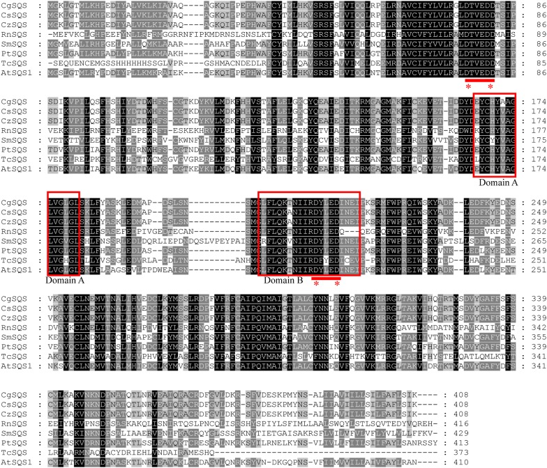 Squalene synthase cloning and functional identification in wintersweet plant (Chimonanthus zhejiangensis).