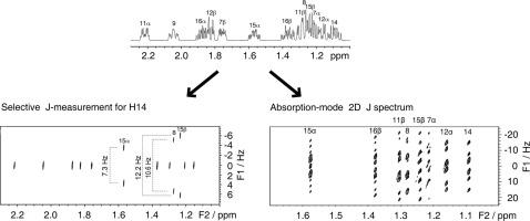 High-resolution methods for the measurement of scalar coupling constants