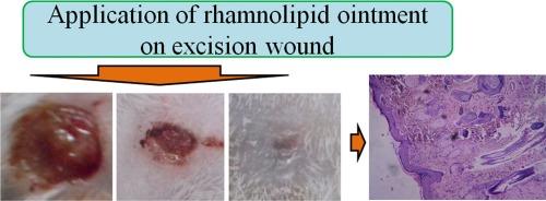 Excision wound healing activity of a common biosurfactant produced by Pseudomonas sp.