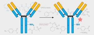 Recent, non-classical, approaches to antibody lysine modification