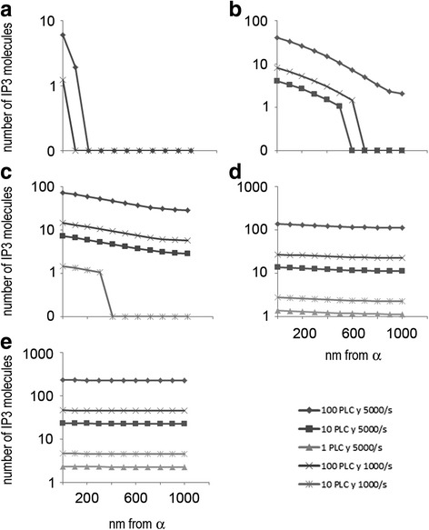 Synaptic neuron-astrocyte communication is supported by an order of magnitude analysis of inositol tris-phosphate diffusion at the nanoscale in a model of peri-synaptic astrocyte projection.