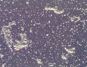 Surface thiolation of silicon for antifouling application.