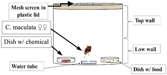 Do Bioflavonoids in <i>Juniperus virginiana</i> Heartwood Stimulate Oviposition in the Ladybird <i>Coleomegilla maculata</i>?