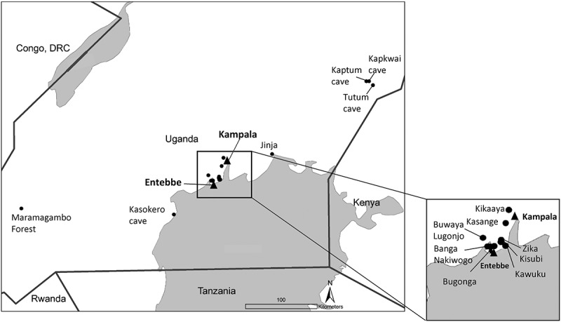 Neutralizing antibodies against flaviviruses, Babanki virus, and Rift Valley fever virus in Ugandan bats.