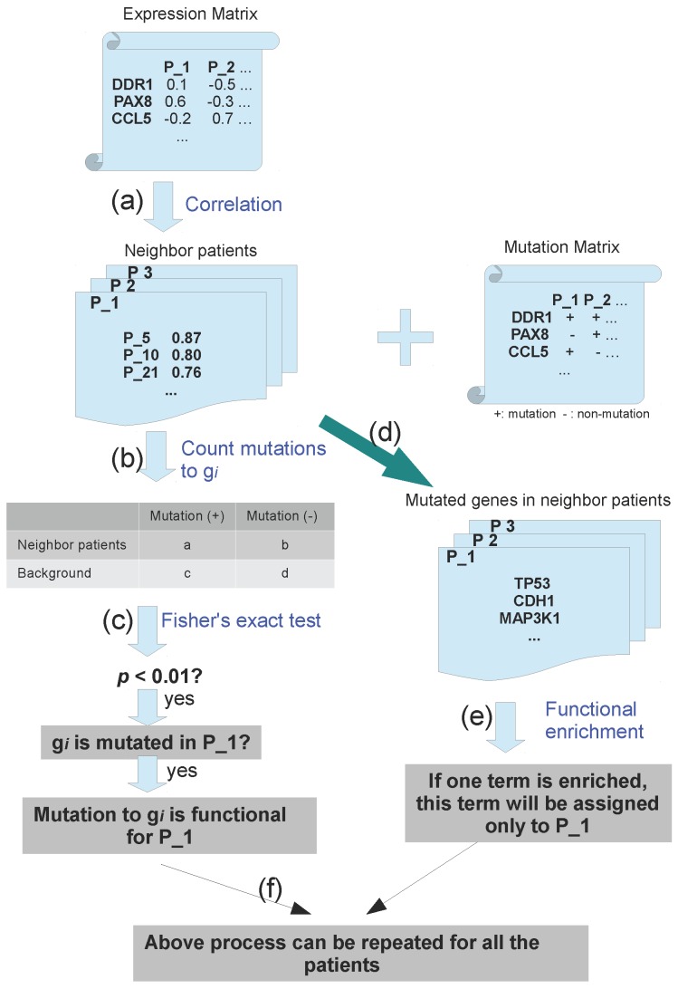 Applying Expression Profile Similarity for Discovery of Patient-Specific Functional Mutations.