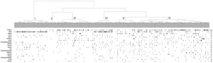 Applying Expression Profile Similarity for Discovery of Patient-Specific Functional Mutations.