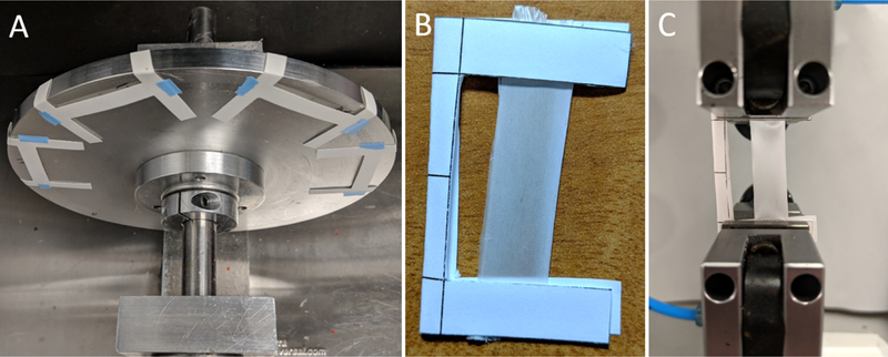 Solvent retention in electrospun fibers affects scaffold mechanical properties.