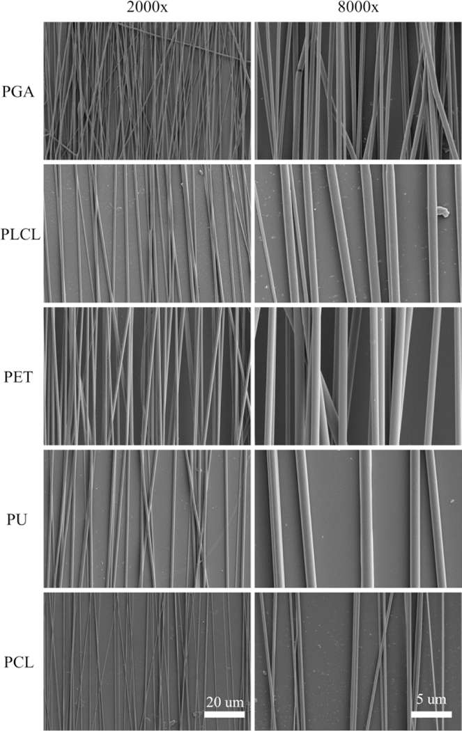 Solvent retention in electrospun fibers affects scaffold mechanical properties.