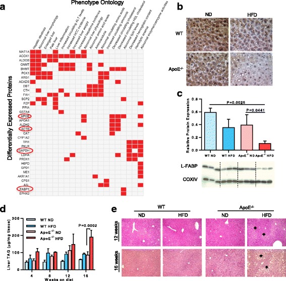 Proteomic identification and characterization of hepatic glyoxalase 1 dysregulation in non-alcoholic fatty liver disease.