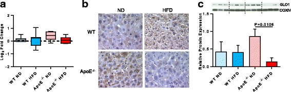 Proteomic identification and characterization of hepatic glyoxalase 1 dysregulation in non-alcoholic fatty liver disease.