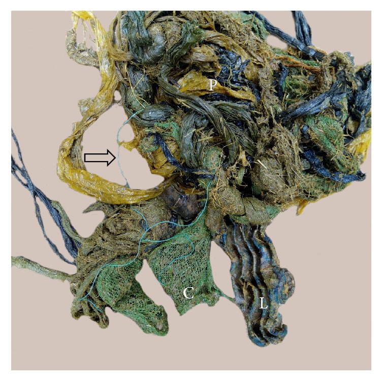 Abstract Image