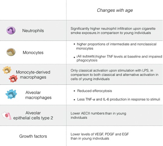 The diversity of myeloid immune cells shaping wound repair and fibrosis in the lung.