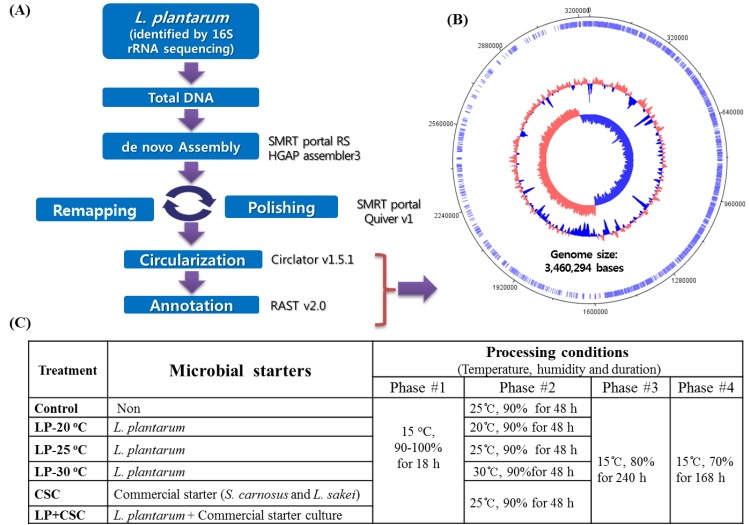 <i>Lactobacillus plantarum</i> (KACC 92189) as a Potential Probiotic Starter Culture for Quality Improvement of Fermented Sausages.