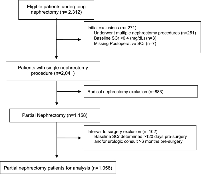 Perioperative Statin Use and Acute Kidney Injury in Patients Undergoing Partial Nephrectomy.