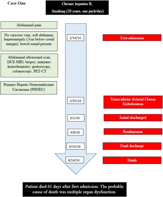 Primary hepatic neuroendocrine carcinoma: report of two cases and literature review.