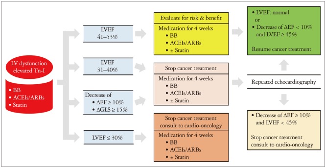 Diagnosis, Treatment, and Prevention of Cardiovascular Toxicity Related to Anti-Cancer Treatment in Clinical Practice: An Opinion Paper from the Working Group on Cardio-Oncology of the Korean Society of Echocardiography.