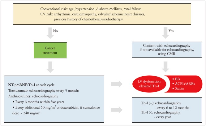 Diagnosis, Treatment, and Prevention of Cardiovascular Toxicity Related to Anti-Cancer Treatment in Clinical Practice: An Opinion Paper from the Working Group on Cardio-Oncology of the Korean Society of Echocardiography.