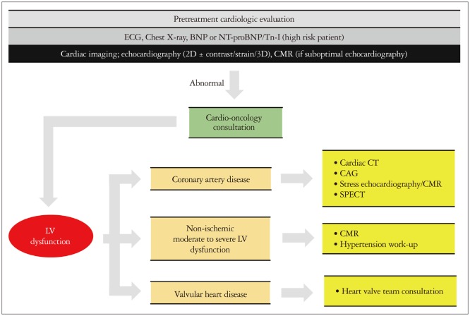 Diagnosis, Treatment, and Prevention of Cardiovascular Toxicity Related to Anti-Cancer Treatment in Clinical Practice: An Opinion Paper from the Working Group on Cardio-Oncology of the Korean Society of Echocardiography.