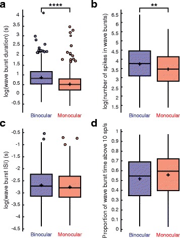 Monocular enucleation alters retinal waves in the surviving eye.