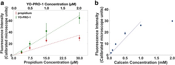 Transport of charged small molecules after electropermeabilization - drift and diffusion.