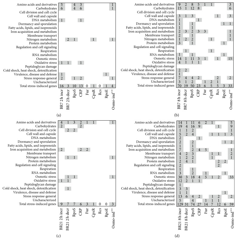 Stress-Adaptive Responses Associated with High-Level Carbapenem Resistance in KPC-Producing <i>Klebsiella pneumoniae</i>.