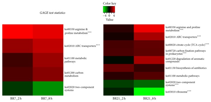 Stress-Adaptive Responses Associated with High-Level Carbapenem Resistance in KPC-Producing <i>Klebsiella pneumoniae</i>.