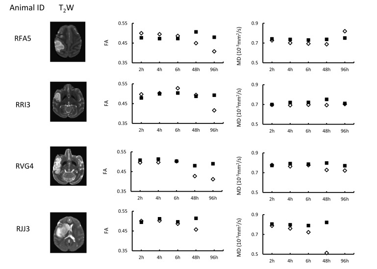 Progressive Assessment of Ischemic Injury to White Matter Using Diffusion Tensor Imaging: A Preliminary Study of a Macaque Model of Stroke.