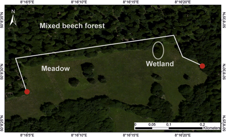 Temporal variation of fungal diversity in a mosaic landscape in Germany