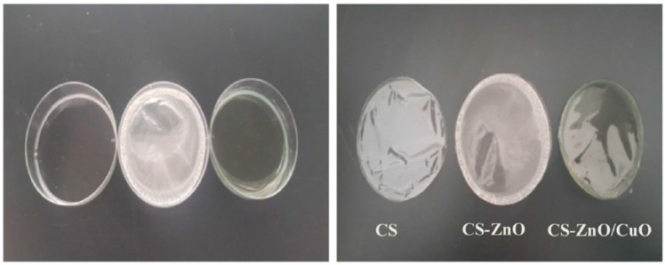 Chitosan Membrane Embedded With ZnO/CuO Nanocomposites for the Photodegradation of Fast Green Dye Under Artificial and Solar Irradiation.