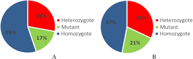 Paraoxonase 1 activities and its gene promoter single nucleotide polymorphisms (-108, -126, and -162) in diabetes mellitus.