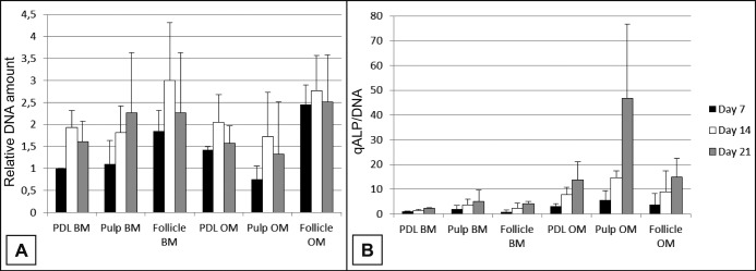 Dental Stem Cells Harvested from Third Molars Combined with Bioactive Glass Can Induce Signs of Bone Formation In Vitro.