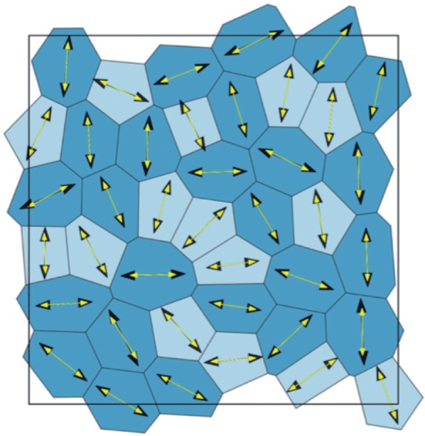 Relating cell shape and mechanical stress in a spatially disordered epithelium using a vertex-based model.