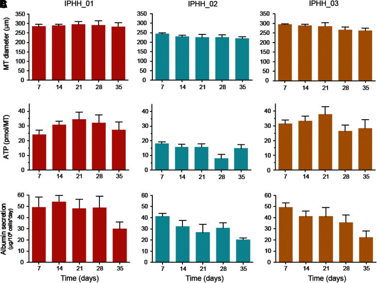 Transcriptomic, Proteomic, and Functional Long-Term Characterization of Multicellular Three-Dimensional Human Liver Microtissues.