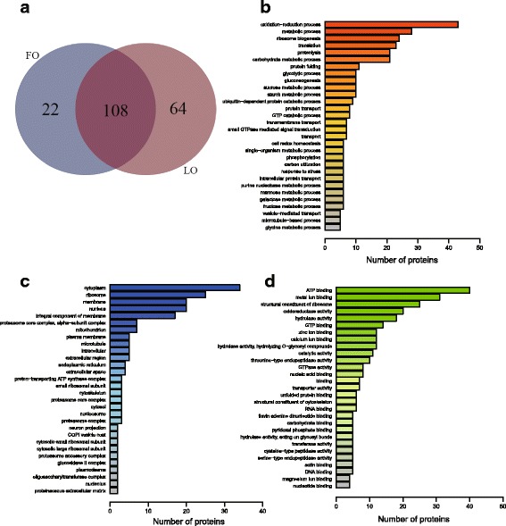 Effects of the complete replacement of fish oil with linseed oil on growth, fatty acid composition, and protein expression in the Chinese mitten crab (<i>Eriocheir sinensis</i>).