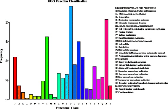 Effects of the complete replacement of fish oil with linseed oil on growth, fatty acid composition, and protein expression in the Chinese mitten crab (<i>Eriocheir sinensis</i>).