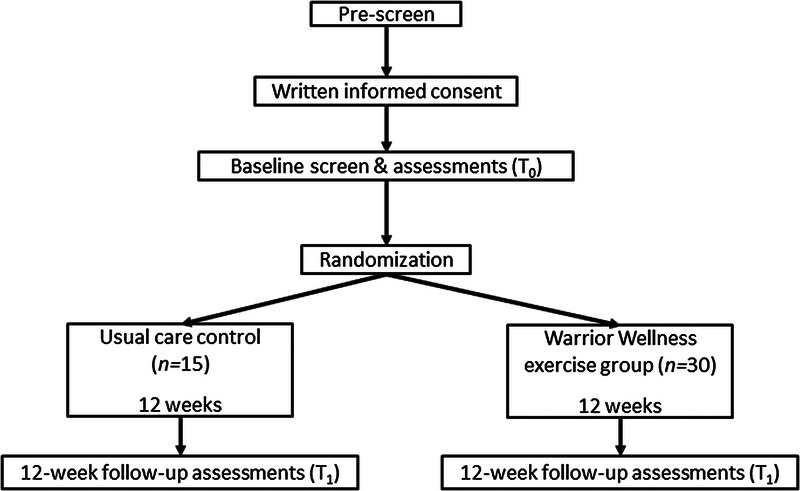 The Warrior Wellness Study: A Randomized Controlled Exercise Trial for Older Veterans with PTSD.