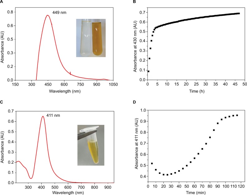 Bio-based synthesis of silver nanoparticles from orange waste: effects of distinct biomolecule coatings on size, morphology, and antimicrobial activity.