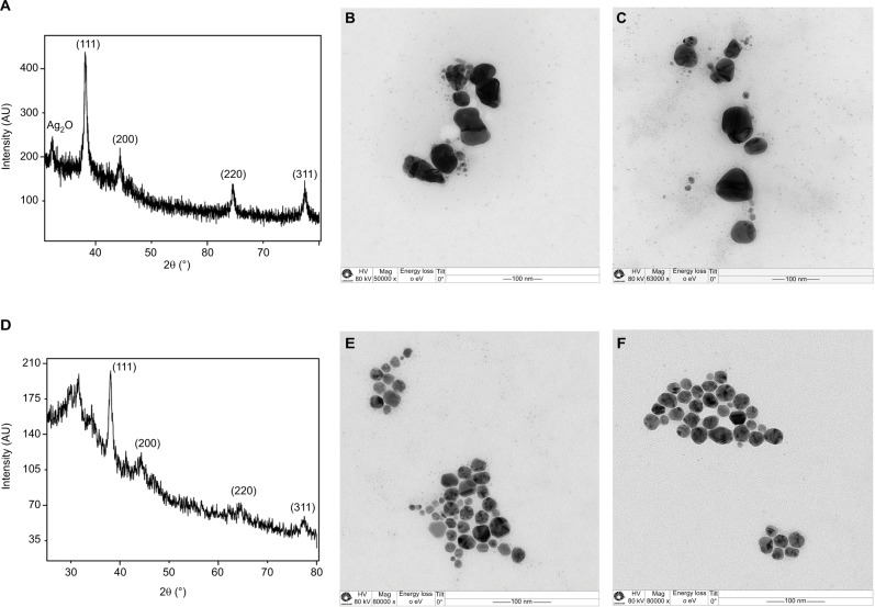 Bio-based synthesis of silver nanoparticles from orange waste: effects of distinct biomolecule coatings on size, morphology, and antimicrobial activity.