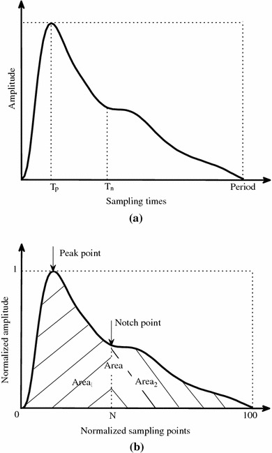 Quantification of radial arterial pulse characteristics change during exercise and recovery.