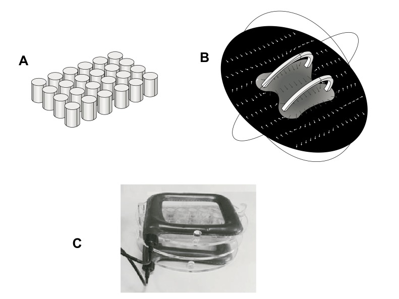 Short Exposures to an Extremely Low-Frequency Magnetic Field (ELF MF) Enhance Protein but not mRNA Alkaline Phosphatase Expression in Human Osteosarcoma Cells.