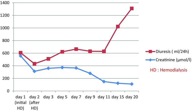 Nephrotoxicity of Ciprofloxacin: Five Cases and a Review of the Literature.