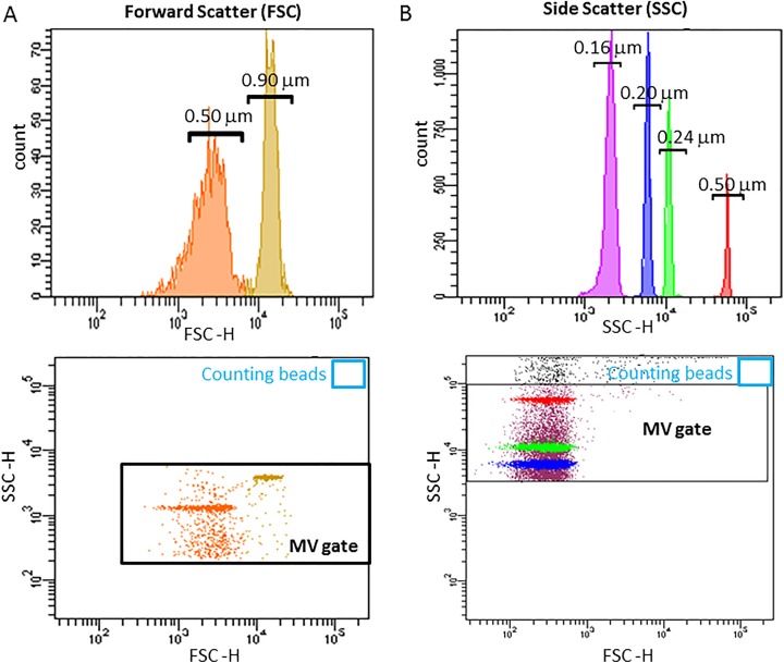 Strategies for enumeration of circulating microvesicles on a conventional flow cytometer: Counting beads and scatter parameters.