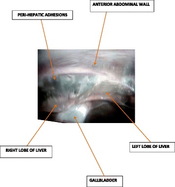 Abstract Image