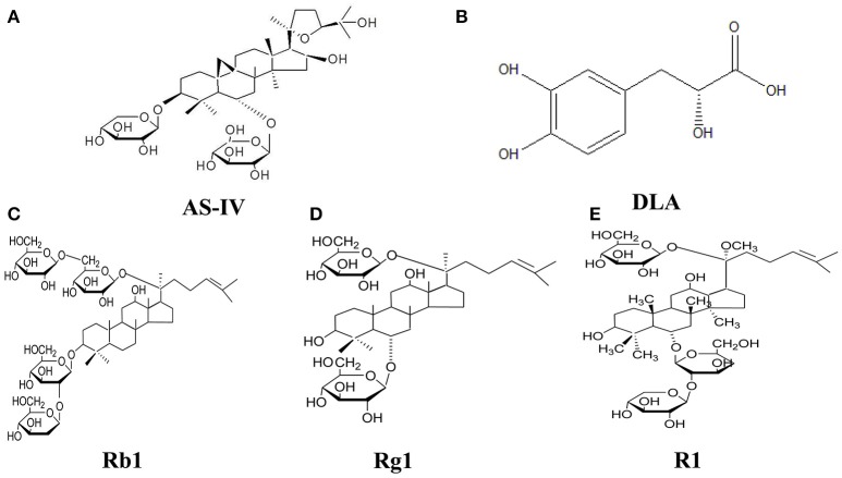 The Contribution of Different Components in QiShenYiQi Pills® to Its Potential to Modulate Energy Metabolism in Protection of Ischemic Myocardial Injury.