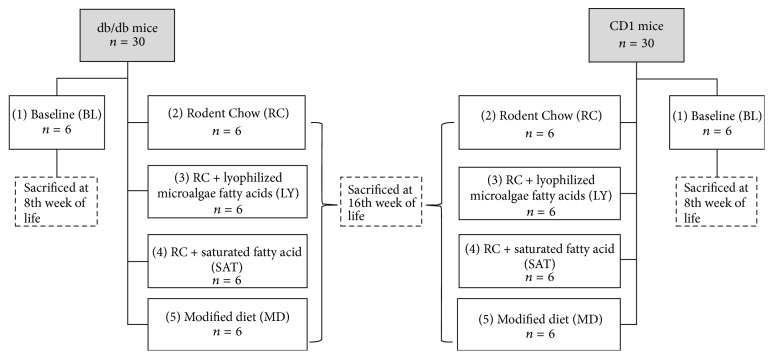 Effect of Supplementation with <i>n</i>-3 Fatty Acids Extracted from Microalgae on Inflammation Biomarkers from Two Different Strains of Mice.